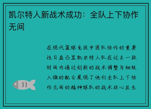 凯尔特人新战术成功：全队上下协作无间
